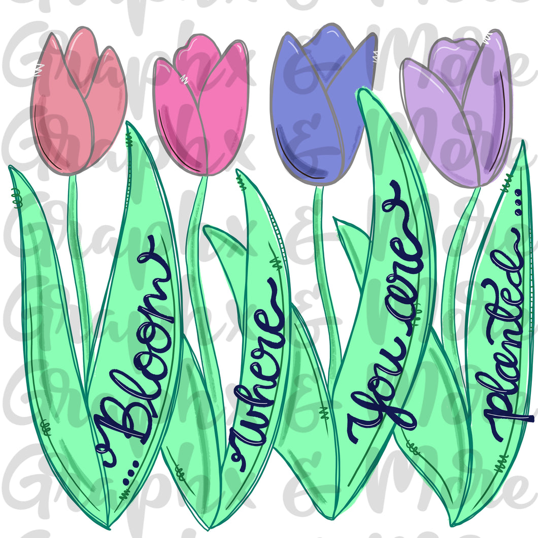 Bloom Where You Are Planted PNG | Hand Drawn | Sublimation Design